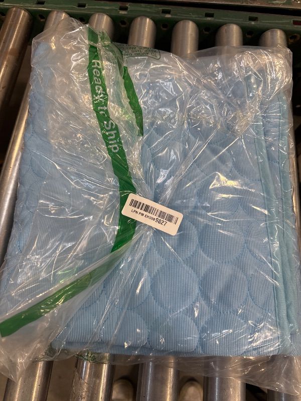 Photo 1 of XinChangShangMao Dog Cooling Mat, Pet Dog Self Cooling Pad, Ice Silk Washable Summer Cool Mat for Cats, Kennels, Crates and Beds (XX-Large 59''×40'', Blue)