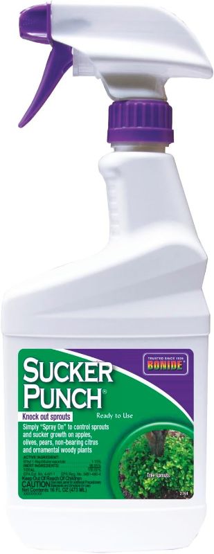 Photo 1 of Bonide Sucker Punch, 16 oz Ready-to-Use Spray, Control Unwanted Plant Sprouts, Plant Growth Regulator for Home Garden