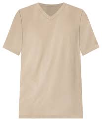 Photo 1 of Arizona Mens V neck T shirt size large 