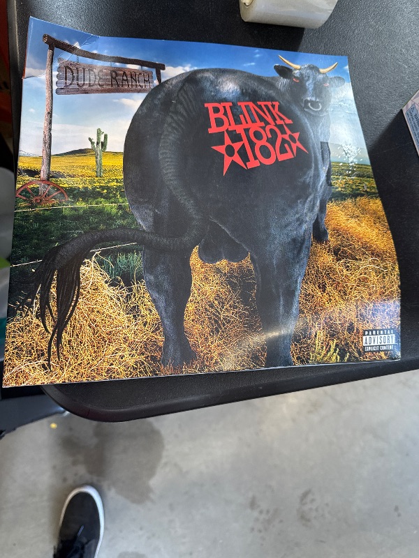 Photo 1 of Dude Ranch[LP]