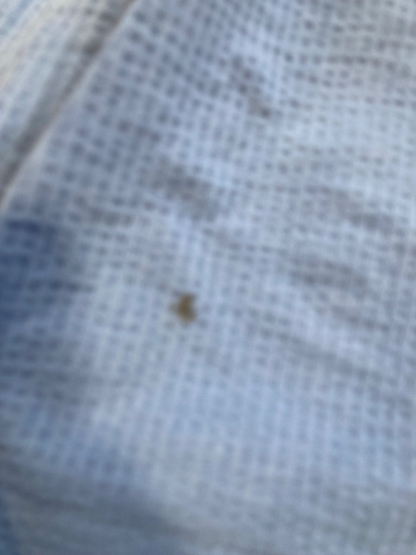 Photo 1 of scotch and soda men shirt size xl 