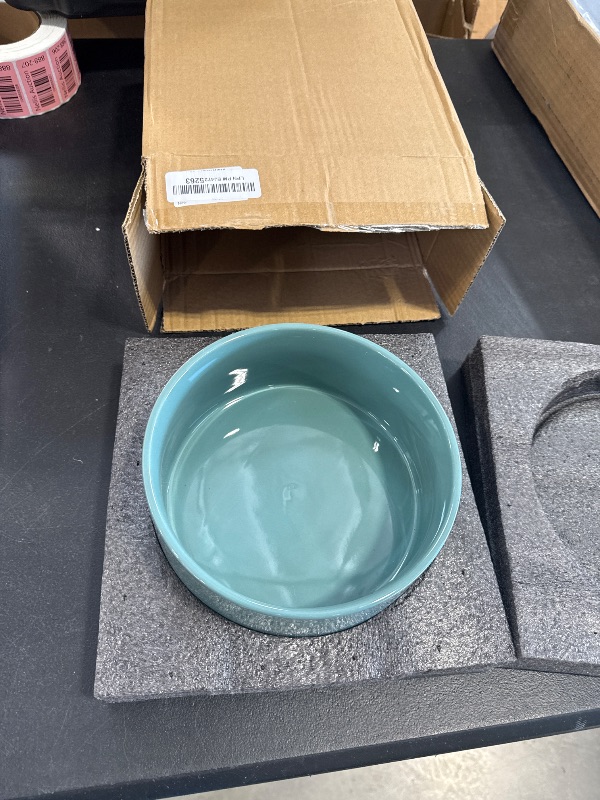 Photo 1 of SPUNKYJUNKY 42OZ Ceramic Dog and Cat Bowl, Modern Cute Weighted Food Water Bowl for Replacement Light Green (1 Pack)