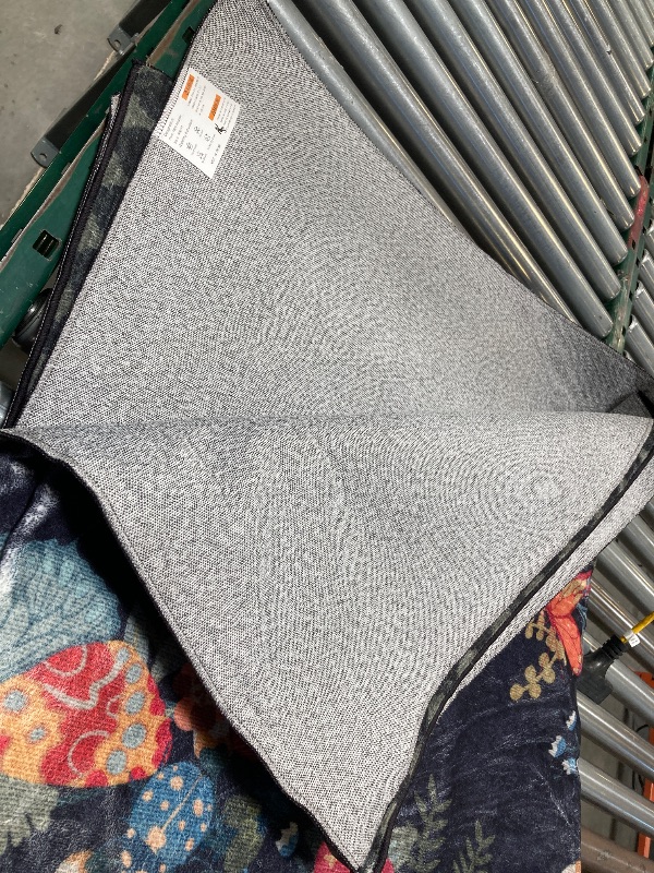 Photo 1 of Large Area Rug