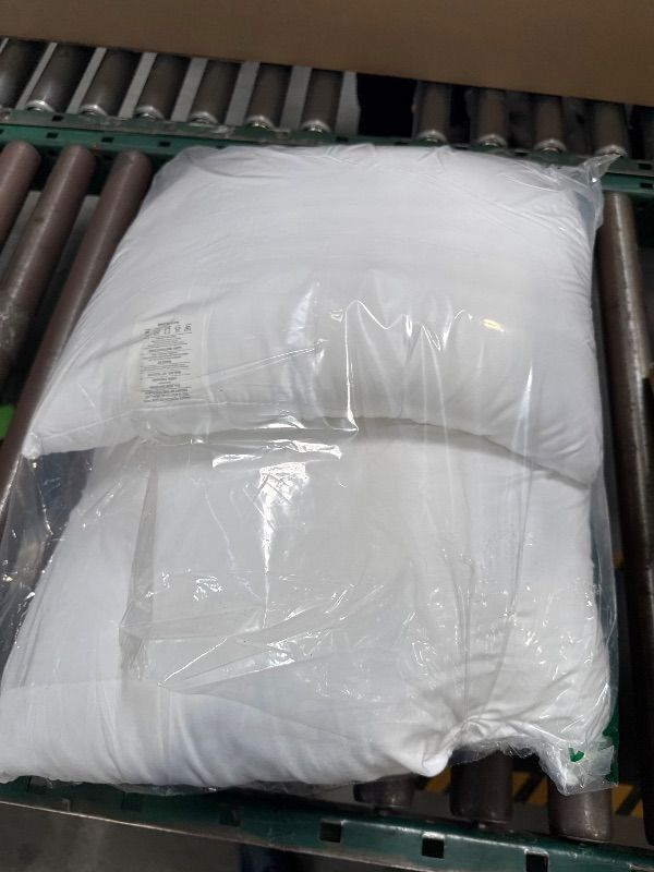 Photo 1 of  White  Pillow Inserts Set of 2