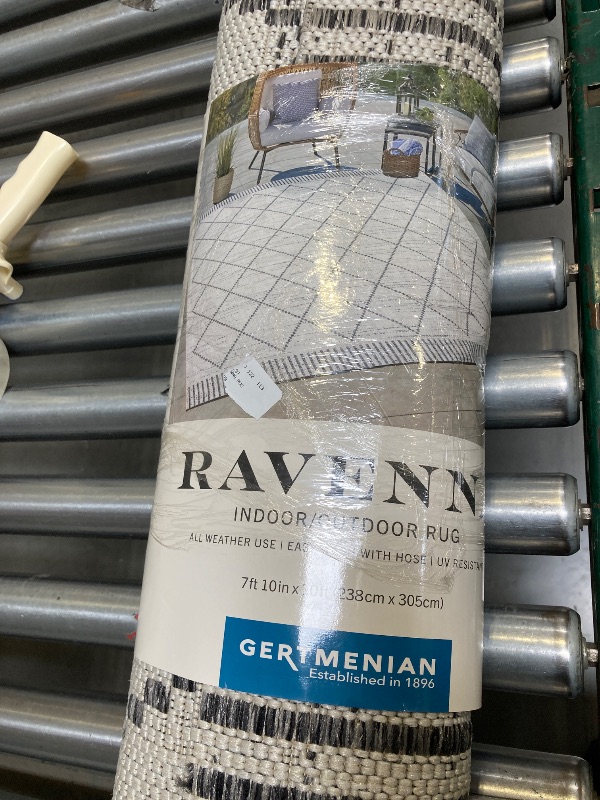 Photo 1 of revenna indoor outdoor rug 7'10"x10'