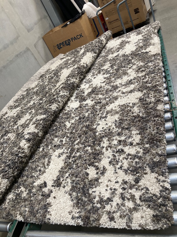 Photo 1 of 8'x10' arctic rug 