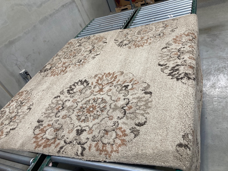 Photo 1 of GERTMENIAN BARI AREA RUG 5'3"X7'