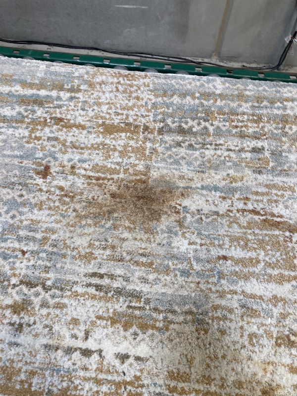 Photo 1 of 8'X10' AREA RUG 
