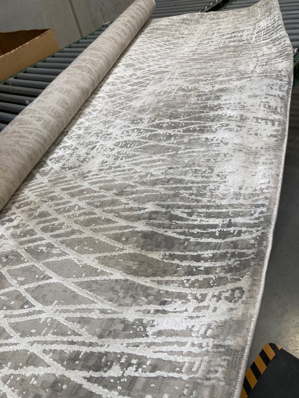 Photo 1 of CAM BEAUMONT SUPER SOFT AREA RUG 7'10"X10'4"