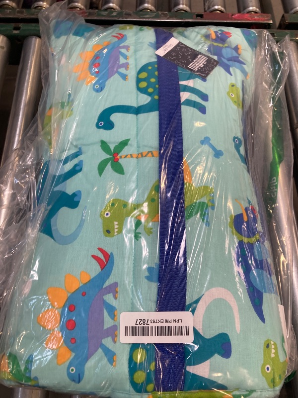 Photo 1 of Wildkin Kids Original Nap Mat – Cozy Kids Sleep Mat with Pillow, Ideal for School & Travel - Dinosaur Land