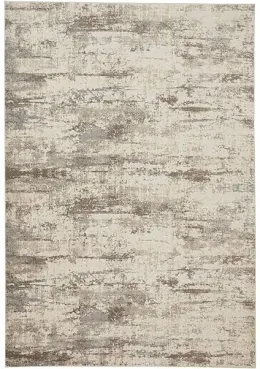 Photo 1 of Abstract lost city 9x12 rug 