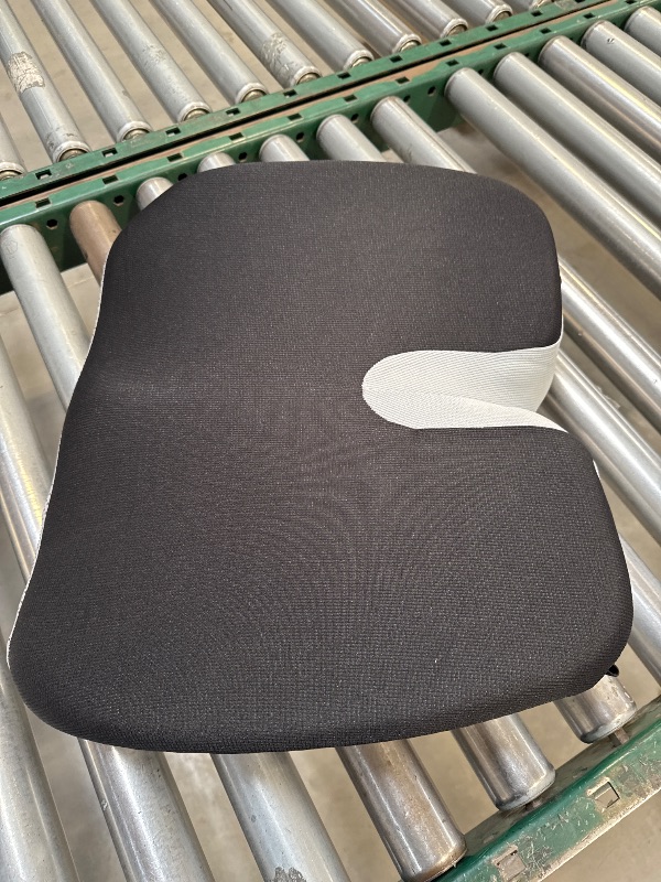 Photo 1 of Seat Cushion for Support