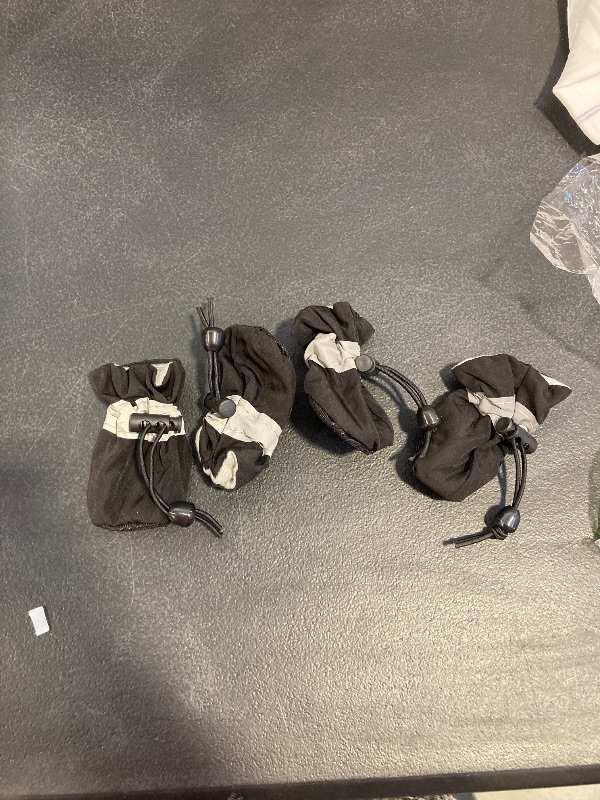 Photo 1 of SMALL DOG SHOES