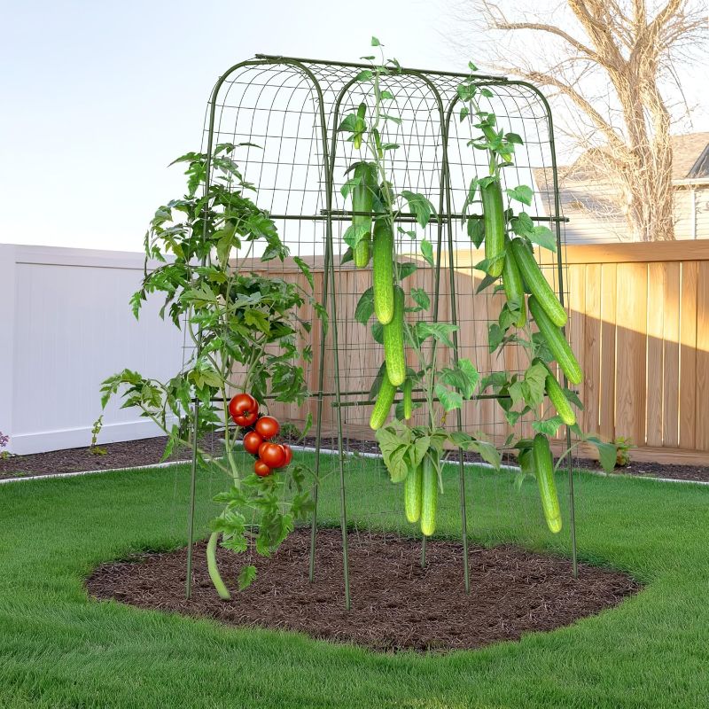 Photo 1 of HIRALIY Cucumber Trellis for Climbing Plants Outdoor, 5 ft Tall Metal Garden Trellis, Arch Tunnel for Tomato Grape Vine Vegetables, Plant Support Archway for Garden Raised Bed, Green 
