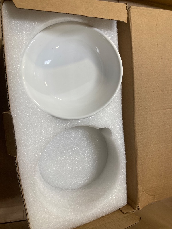 Photo 1 of LoeJan Elevated Cat Food Bowl, 5 Oz Ceramic Raised and Tilted Water Bowl, Anti Vomiting and Protect Pets' Spines Dishes for Small Dog, Fat Faced Cat, Kitten (White, 4 Pack)