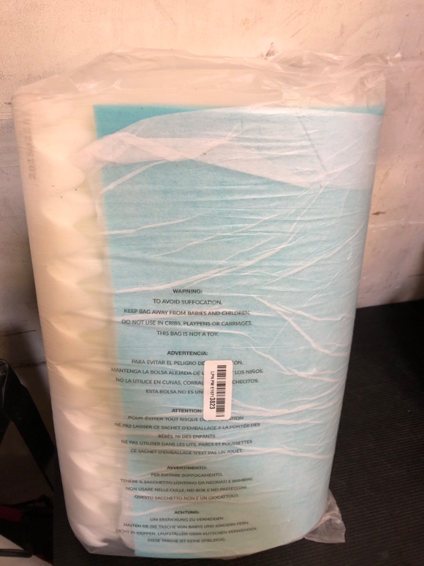 Photo 1 of Foam Insert Dog Bed
