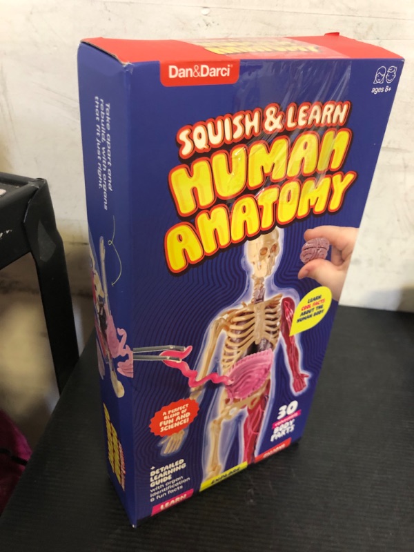 Photo 1 of Dan&Darci Human Anatomy Squishy Body Model - Science Kits for Kids Ages 4-8 - STEM Toys for 4 5 6 7 8 Year Old Boy Birthday Gift - Learning Educational Toys for Ages 5-7 Boys Gifts - Skeleton Parts