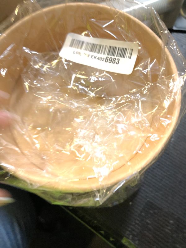 Photo 1 of 12pcs ONLY Disposable Round Paper Bowls with Lid 17 oz, Microwave Deli Containers Leakproof Acai Bowls, Salad Bowl with Lid for Lunch, Disposable bowls with lids for Soup Toppings Snack Camping Family