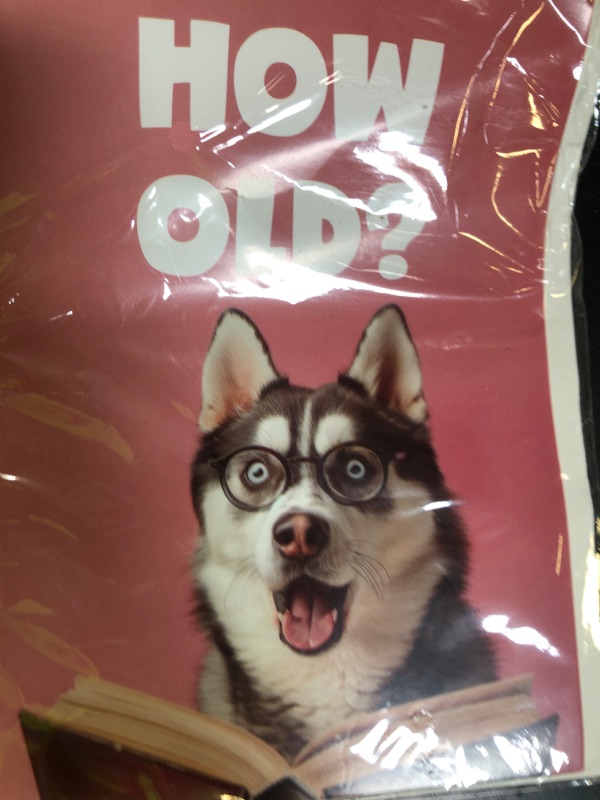 Photo 1 of Gooji 5x7 Funny Dog Birthday Card, How Old Hilarious Design with Husky Illustration, Premium Cardstock with Envelope for Dog Lovers, Men, Women, Husband, Wife