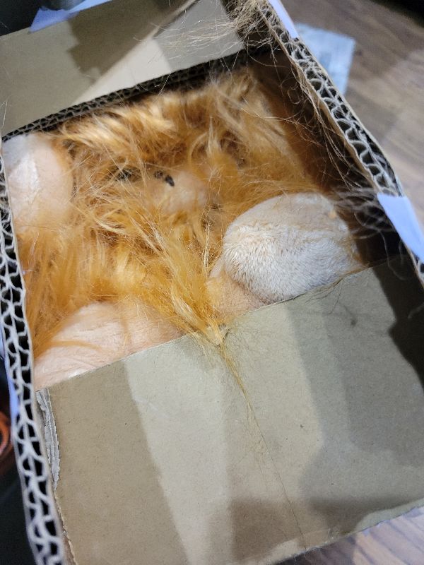 Photo 1 of 16 Inch Hazel The Highland Cow Soft Plush Stuffed Animal Toy Cuddly Companion Playtime Bedroom Nursery Collectible Gift Kids Ages 3 and Up