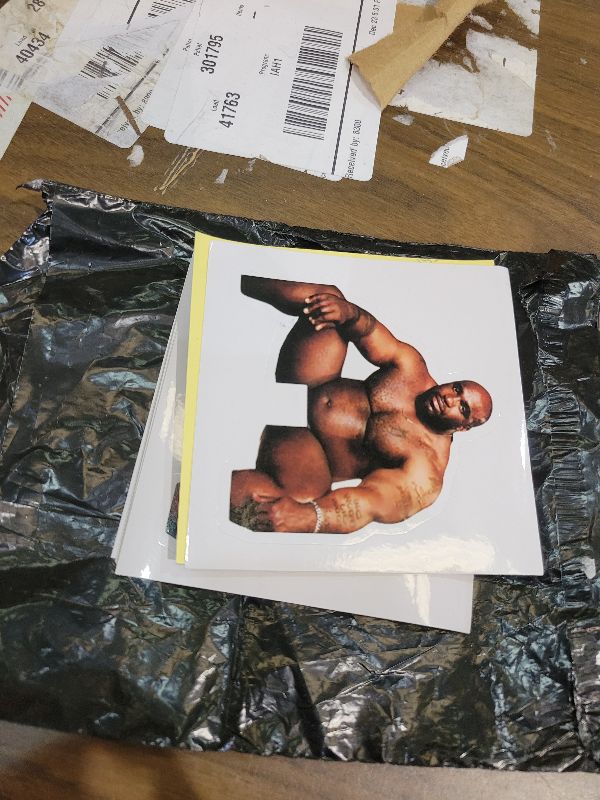 Photo 1 of 10pcs Funny Barry Wood Light Switch Sticker Decals, Waterproof Vinyl Prank Joking Wall Stickers for Living Room, Car, Laptop Skins, Skateboard, Computer, Tumblers, Phone, Bumper (10Pcs)