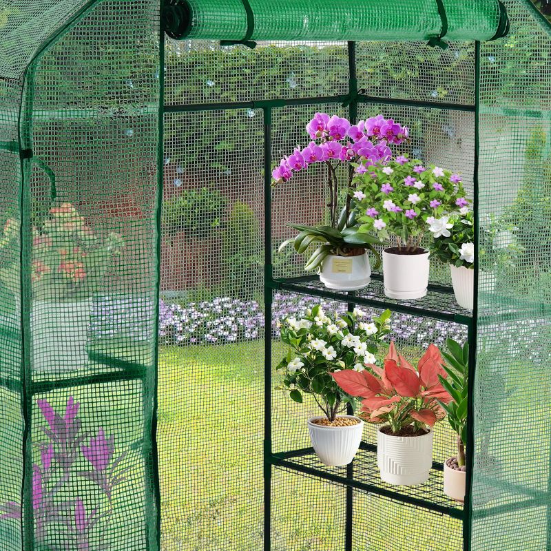 Photo 1 of 

thumbnail image 1 of FOUKUS Mini Greenhouse for Outdoors, 56 x 28.4 x 75.6'' Walk-in Green House with Zippered Door, Mesh Windows, Thicken PE Cover, 3 Tiers 6 Shelves, Ideal for Backyard Gardening, 1 of 6

thumbnail image 2 of FOUKUS Mini Greenhouse for