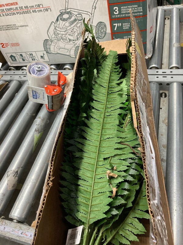 Photo 1 of ***used**nearly natursl -fern shrubbery