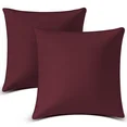 Photo 1 of 18"x18" Throw Pillow Inserts, Set of 2 Square Pillows Premium Down Alternative Pillow Inserts Decorative Pillow Stuffer for Sofa, Couch, Red
