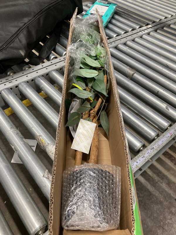 Photo 1 of **used*** 4FT Artificial Ficus Tree with Natural Wood Trunk and Lifelike Leaves, Silk Fake Potted Tree with Wood Branches, Faux Tree for Office Home Decor