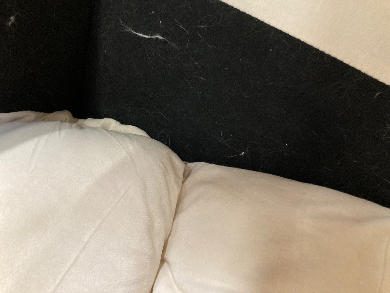 Photo 1 of ****cannot be returned    The furniture is used, has a little dog hair and is missing parts.*****Convertible Futon Pull Out Single Sofa Bed, 3-in-1 Multi-Functional Sleeper Chair Bed, Velvet Fabric Pullout Couch, Adjustable Sleeper Chair for Living Room, 