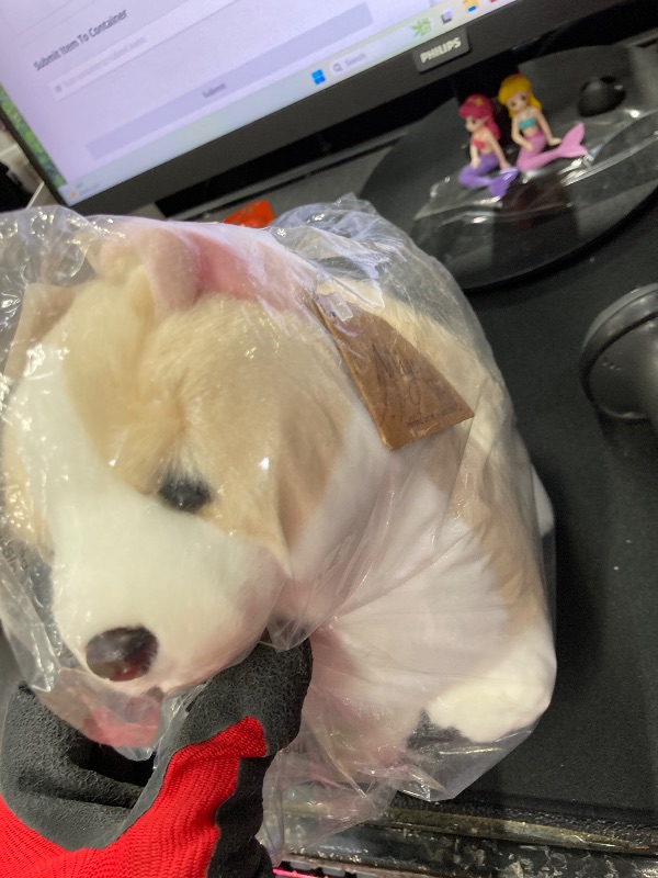 Photo 1 of  BABY DOG 