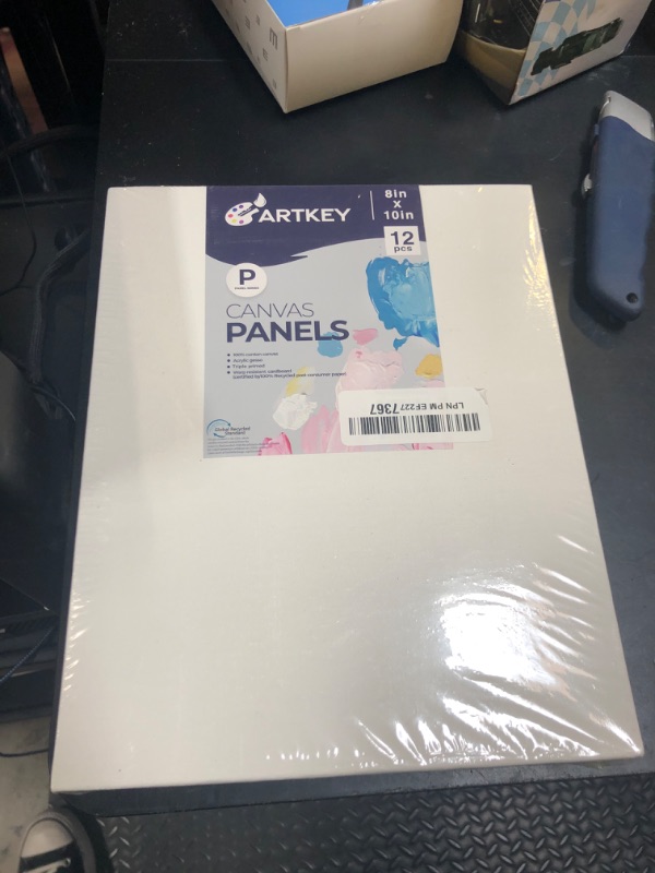 Photo 1 of Artkey Canvases for Painting 8x10 Inch 12-Pack, 10 oz Primed 100% Cotton White Blank Canvas Boards for Painting, Art Supplies Paint Canvas Panels for Acrylic Oil Watercolor Tempera Paints