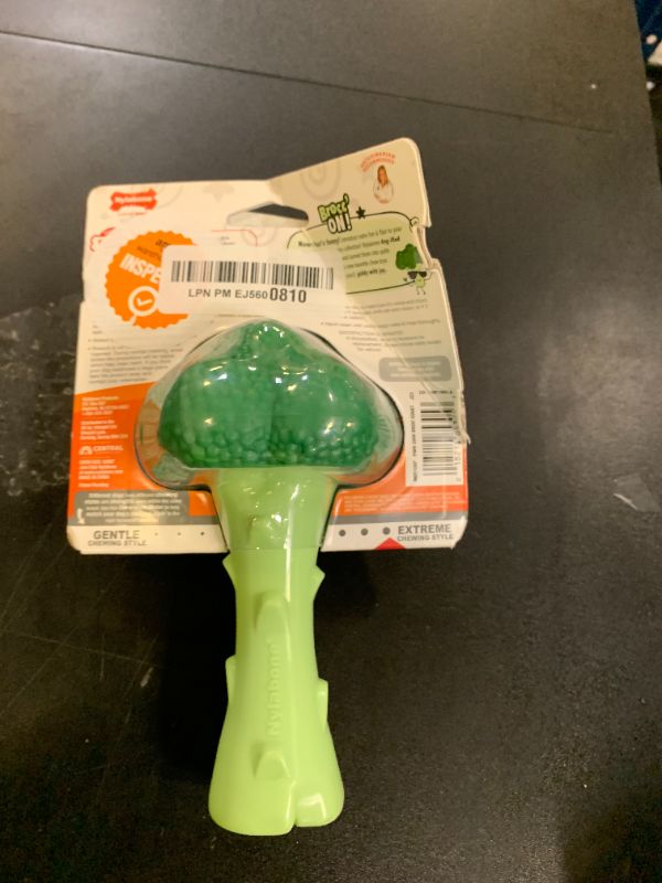 Photo 1 of Nylabone Broccoli Power Chew Toy for Dogs, Dog Toys for Aggressive Chewers, Bacon & Cheese Flavor, Large Dogs - Up to 50 lbs, 1 Count