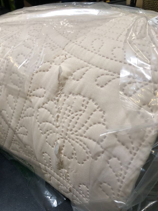 Photo 1 of Love's cabin Quilts for Queen Bed Beige Bedspreads Bedding Set - Summer Quilt Lightweight Microfiber Bedspread - Coin Pattern Bedding Coverlet for All Season - 3 Piece (1 Quilt, 2 Pillow Shams)