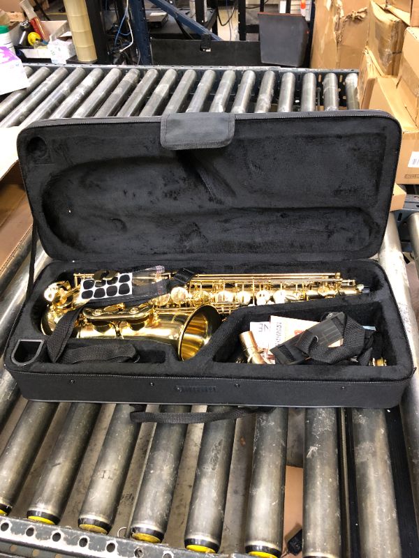 Photo 1 of Aisiweier Gold E Flat Alto Saxophone Brass Engraved Eb E-Flat Natural White Shell Button Wind Instrument with Case Belt Brush