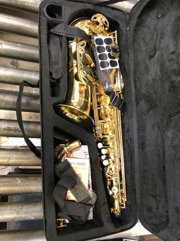 Photo 1 of Aisiweier Gold E Flat Alto Saxophone Brass Engraved Eb E-Flat Natural White Shell Button Wind Instrument with Case Belt Brush