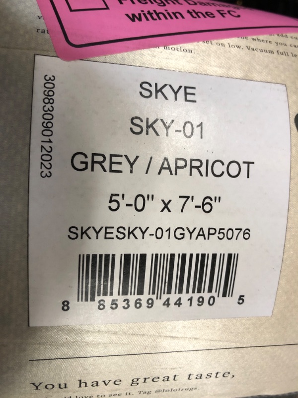 Photo 1 of Loloi II Skye Collection SKY-01 Grey/Apricot 5'-0" x 7'-6" Area Rug