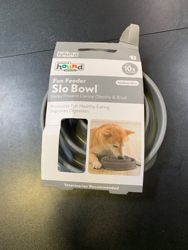 Photo 1 of Outward Hound Fun Feeder Slo Bowl, Medium Slow Feeder Dog Bowl, 2 Cups, Gray