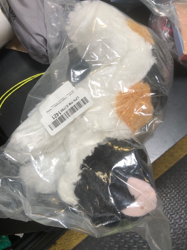 Photo 1 of CAT STUFFED ANIMAL PLUSH