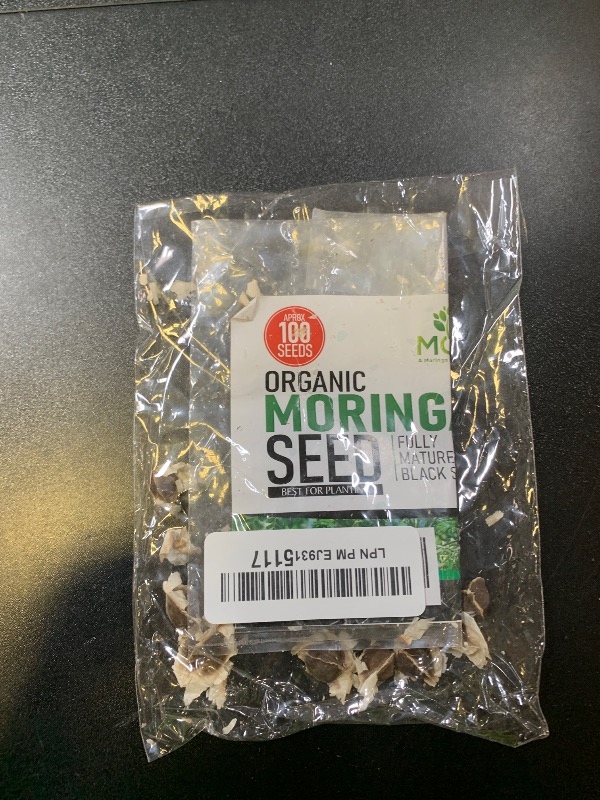 Photo 1 of 100+ Organic Moringa Seeds | Moringa Seeds for Planting Leaves, Powder, Pods & Flowers | Non-GMO Semillas de Moringa Seeds.