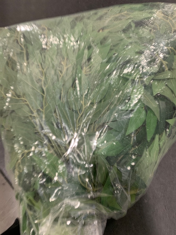 Photo 1 of Xinnun 50 Pcs Artificial Italian Ruscus Greenery Stems 26.8 Inch Hanging Spray Fake Greenery for Centerpieces Faux Leaves Swag for Floral Arrangement Wedding Bouquet Garland Arch Home Decor