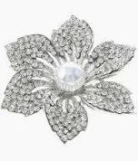 Photo 1 of pin jewelry silver