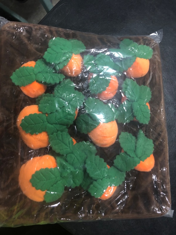 Photo 1 of YAOGEG Carrot Snuffle Mat for Dogs Carrot Dog Toys 2 in 1 Interactive Plush Puzzle Nosework Feed Games Hide and Seek Carrot Farm Stress Relief Chewing Toys with 12 Carrots Non Slip for Dogs