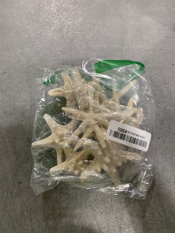Photo 1 of UEIEU 12 PCS Starfish | 2.5-6 Inch Starfish Decor | Natural Bulk Starfish Shells Perfect for Crafts Making Beach Theme Party Wedding Decoration, Home Wall Decor, Christmas Ornaments, Fish Tank