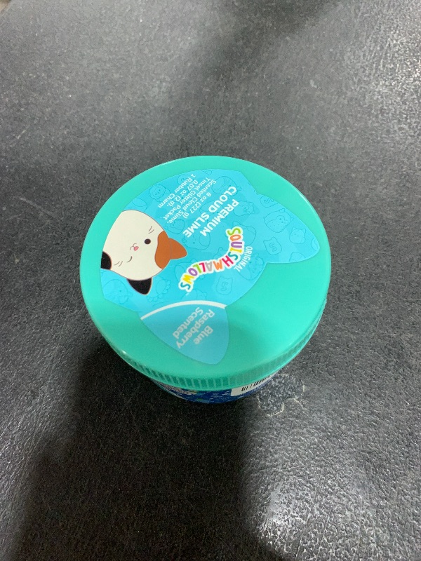 Photo 1 of SEE NOTES.......Original Squishmallows Premium Cloud Slime - Winston The Owl, Blue Raspberry Scent