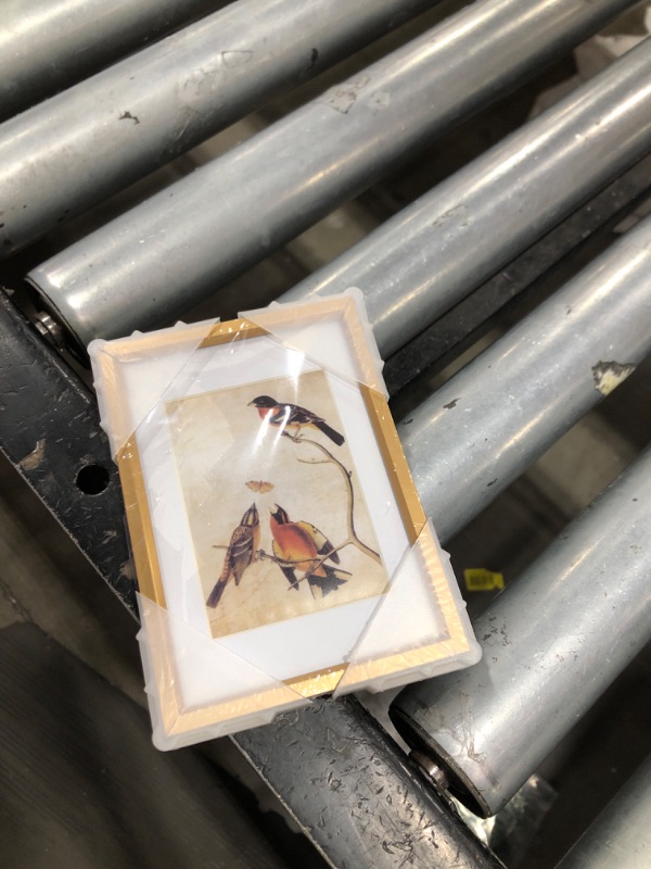 Photo 1 of BKABOT 3.5x5 Picture Frame, Gold Metal Photo Frames with HD Glass, Fits 2.5x3.5 with Mat or 3.5x5 without Mat, Display for Wall and Table, 1 Pack