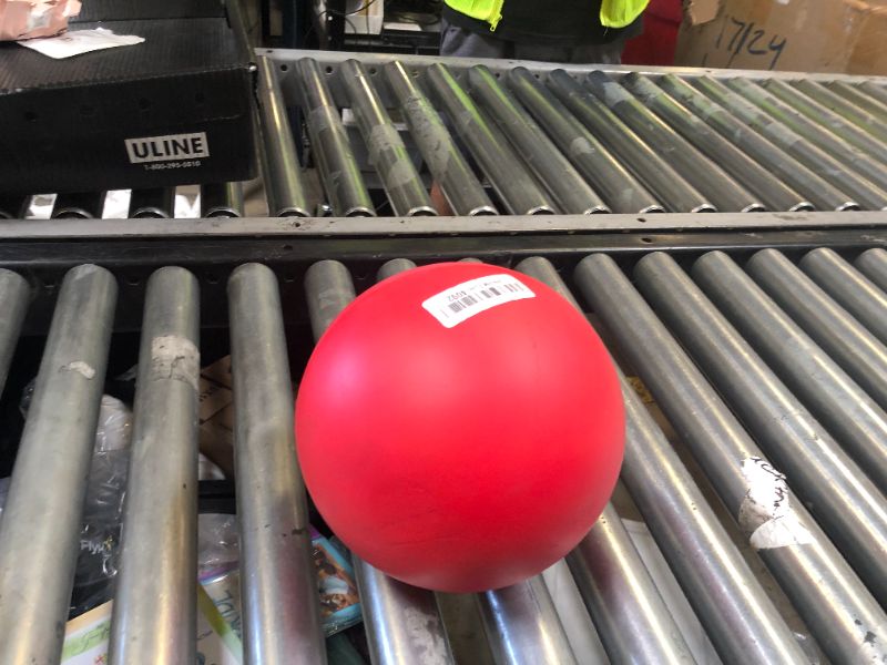 Photo 1 of Champion Sports Coated High Density Foam Ball (8.5-Inch)