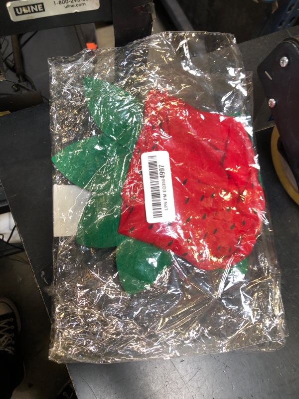 Photo 1 of Midlee Strawberry Halloween Dog Costume (X-Large)