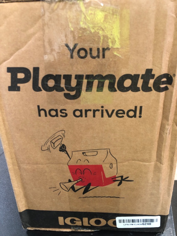 Photo 1 of Igloo Playmate Cooler
