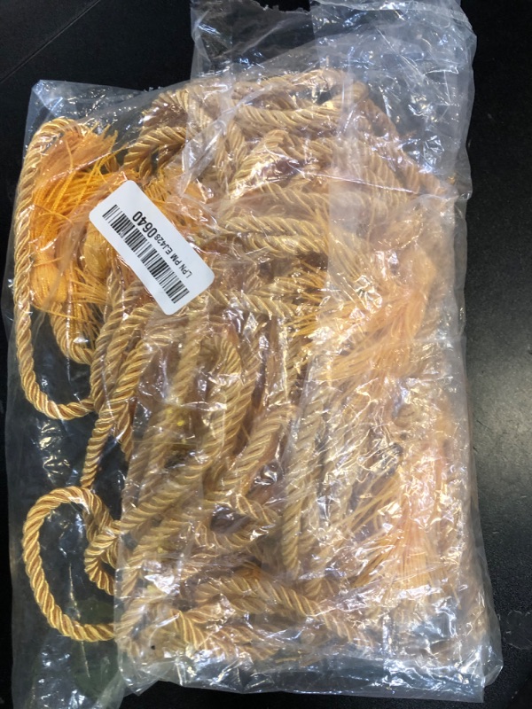 Photo 1 of Shappy 20 Pieces Graduation Cords Bulk Graduation Tassel Braided Yarn Honor Handfasting Cords for College Graduation Students